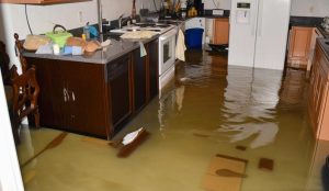 Flood Emergency Response Services