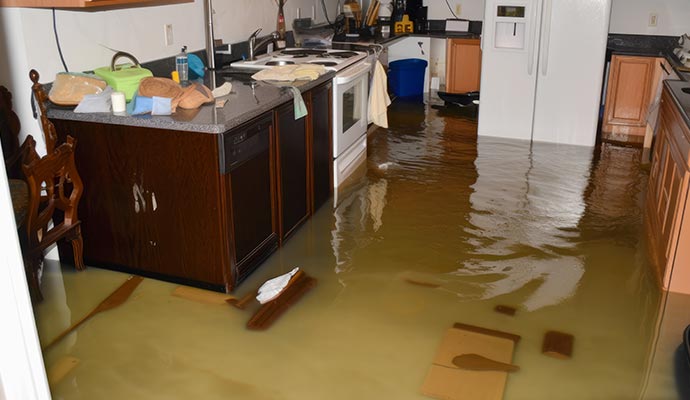 Flood Emergency Response Services